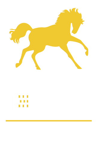 Logo ÉCURIE NICOLAS HUI